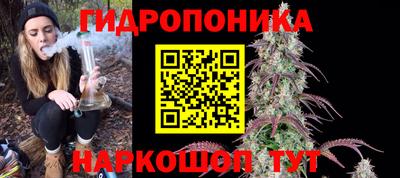 гидра Краснокаменск