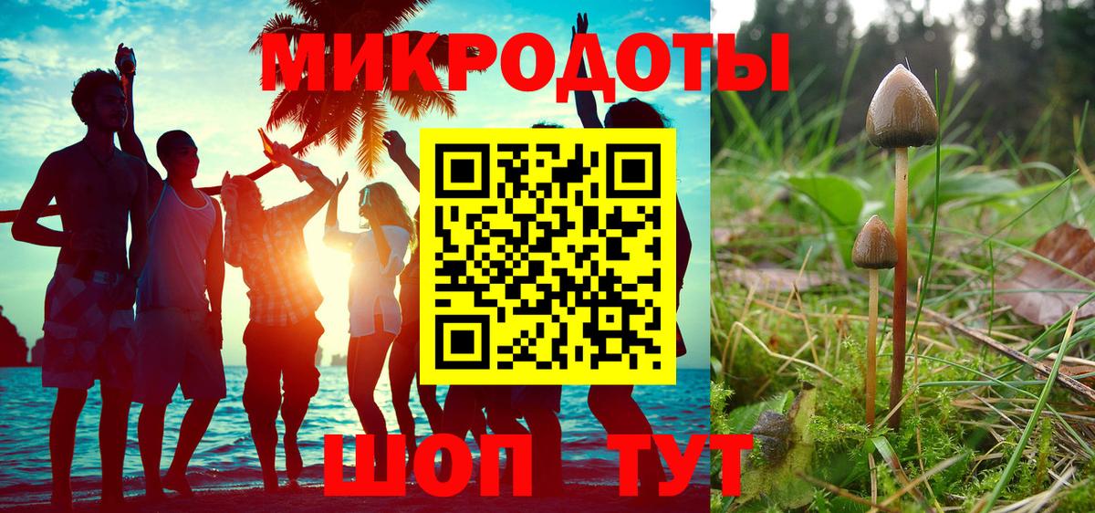 Псилоцибиновые грибы мухоморы Алапаевск